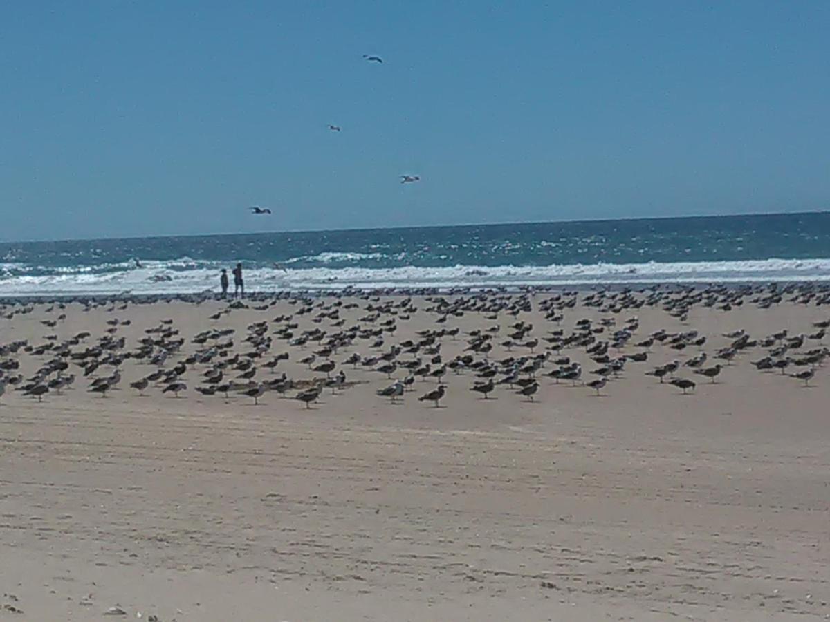 Caparica Holidays Charneca  Kültér fotó